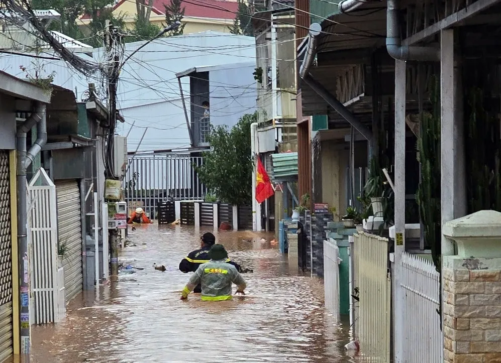 xuân trường đà lạt