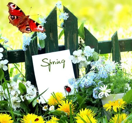 Phạm Thế Quang Huy