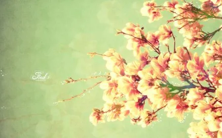 Phạm Thế Quang Huy