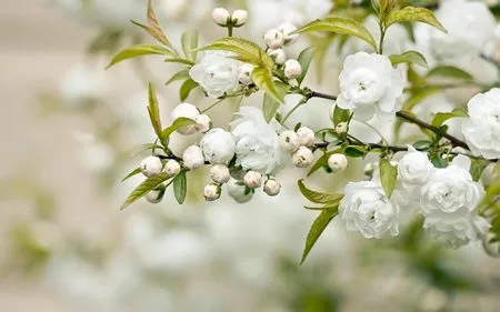 Phạm Thế Quang Huy