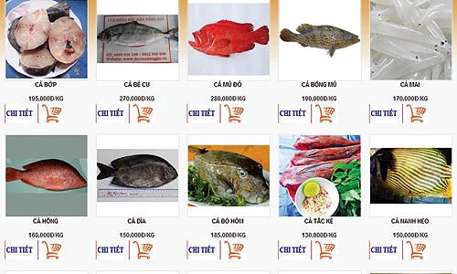 đi chợ, online, thông tin, sản phẩm, phí, giá