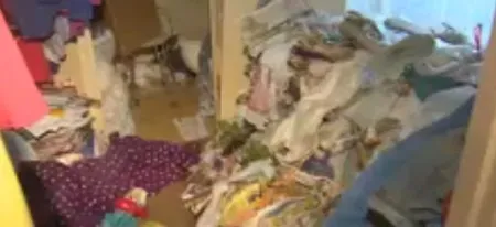 Rác, phân mèo, nước đái mèo và xác mèo chết chồng chất quanh nhà