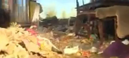 Trong ga-ra phân mèo chất cao tới 1,2 m