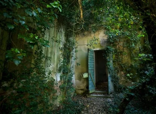 Khoảng 100.000 người Venice đã chết trên hòn đảo “ma ám”. Ảnh: Mental Floss