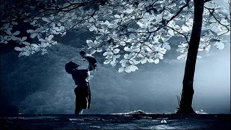 Phạm Thế Quang Huy