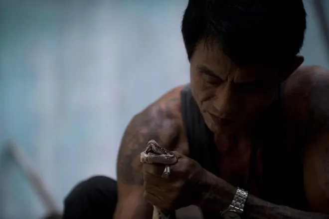 Người đàn ông bị rắn hổ mang chúa cắn 4 lần vẫn sống khỏe ảnh 5