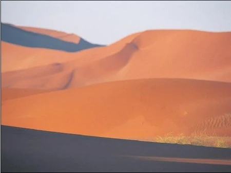 Chú sơn dương trong hình ảnh gốc đã bị xóa bỏ