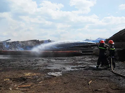 Cháy lớn tại khu chứa gỗ trong cảng Quy Nhơn ảnh 7