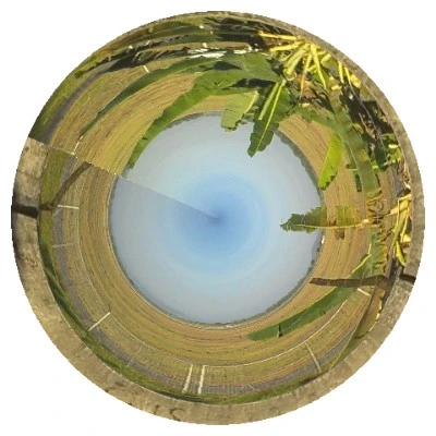 Một vài hình ảnh độc đáo được tạo ra bởi ứng dụng Planet Camera