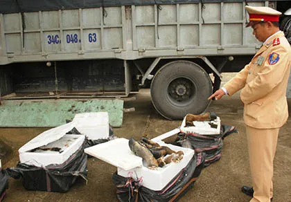 Thu giữ gần 8 tạ chân trâu bò bẩn đưa vào TP. HCM tiêu thụ ảnh 1