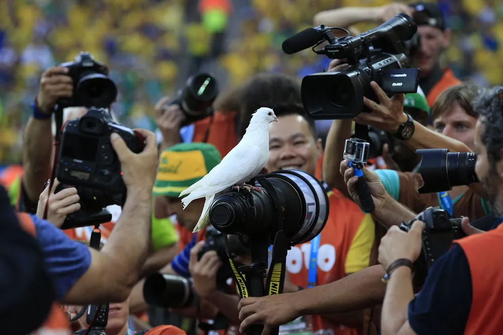 Những hình ảnh hài hước, khó quên nhất làng thể thao năm 2014 ảnh 1 Những hình ảnh hài hước, khó quên nhất làng thể thao năm 2014 ảnh 1