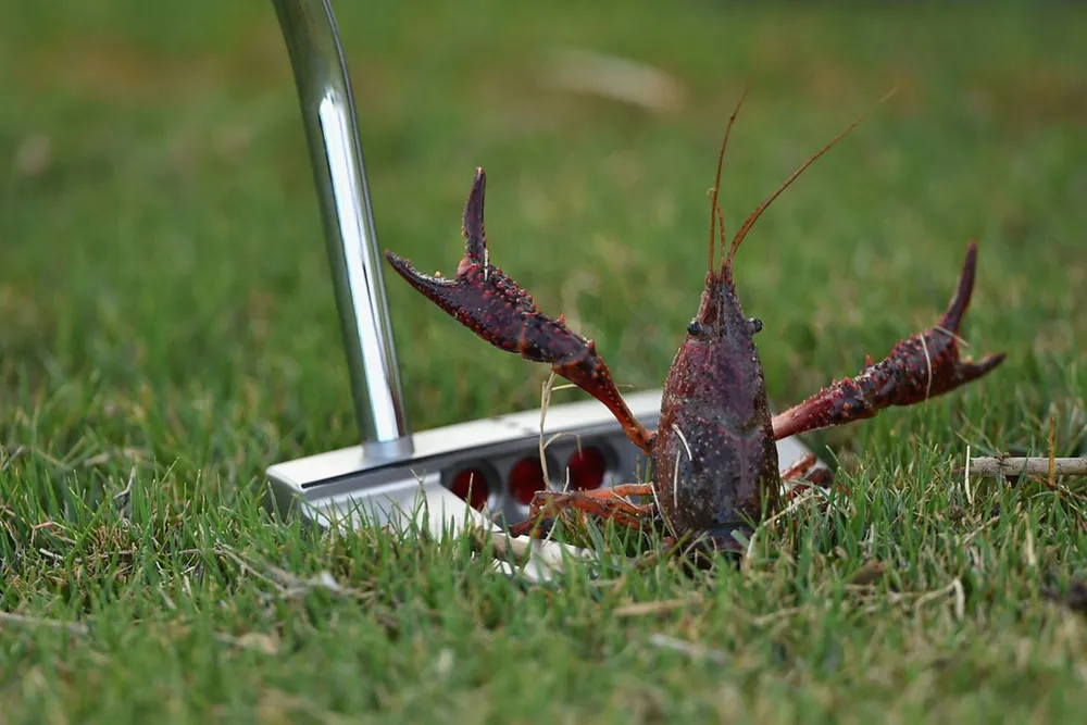 Những hình ảnh hài hước, khó quên nhất làng thể thao năm 2014 ảnh 10 Những hình ảnh hài hước, khó quên nhất làng thể thao năm 2014 ảnh 10