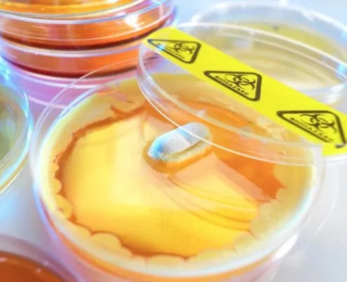 Loại siêu kháng sinh Teixobactin có thể chữa hầu hết các loại bệnh. Ảnh:BBC. Ảnh: BBC.