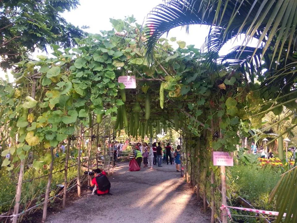 Đi thăm “làng quê xuân” giữa thành phố…nhà giàu ảnh 5 Đi thăm “làng quê xuân” giữa thành phố…nhà giàu ảnh 5