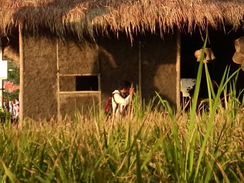 Đi thăm “làng quê xuân” giữa thành phố…nhà giàu ảnh 13 Đi thăm “làng quê xuân” giữa thành phố…nhà giàu ảnh 13