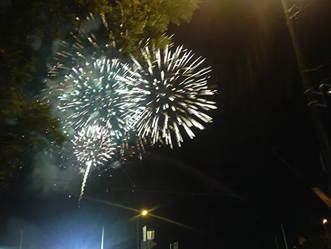 Sài Gòn tưng bừng đón mừng năm mới tết Ất Mùi ảnh 30