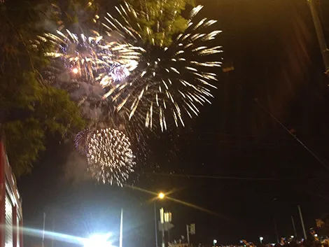 Sài Gòn tưng bừng đón mừng năm mới tết Ất Mùi ảnh 32