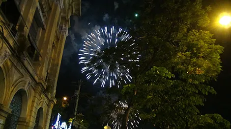 Sài Gòn tưng bừng đón mừng năm mới tết Ất Mùi ảnh 27