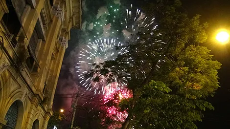 Sài Gòn tưng bừng đón mừng năm mới tết Ất Mùi ảnh 28