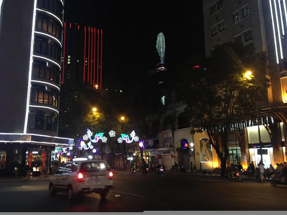 Sài Gòn tưng bừng đón mừng năm mới tết Ất Mùi ảnh 16