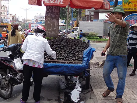 Thư ảnh gửi em gái Cali: Trăm thứ ngon đường phố Sài Gòn ảnh 11