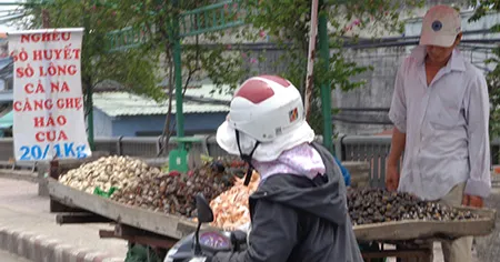 Thư ảnh gửi em gái Cali: Trăm thứ ngon đường phố Sài Gòn ảnh 13