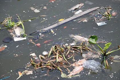 Kênh Nhiêu Lộc – Thị Nghè đầy rác bốc mùi, cá chết hàng loạt ảnh 3