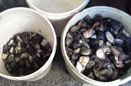 Phát hiện 14,6 tấn sản phẩm động vật không nguồn gốc ảnh 3