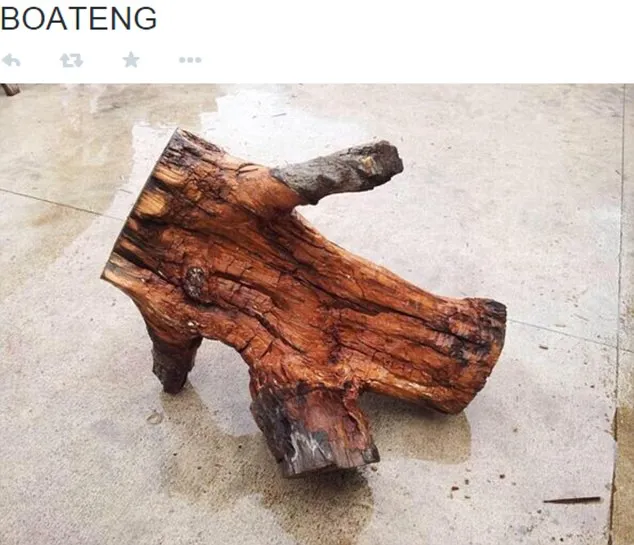 Ảnh chế hài hước pha qua người của Messi khiến Boateng trượt ngã ảnh 10