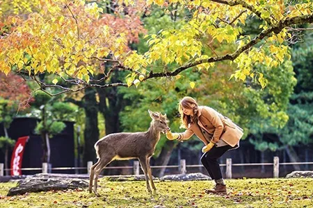 20 quốc gia mà bạn đi du lịch một mình thoải mái nhất ảnh 8 20 quốc gia mà bạn đi du lịch một mình thoải mái nhất ảnh 8