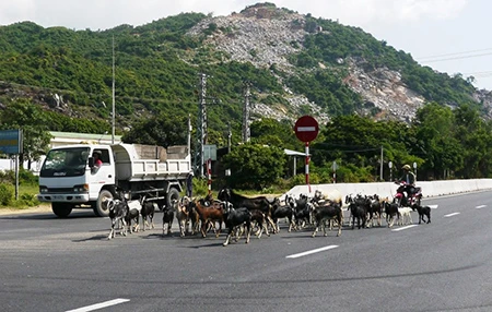 Hiểm họa khôn lường trên quốc lộ mở rộng ảnh 2