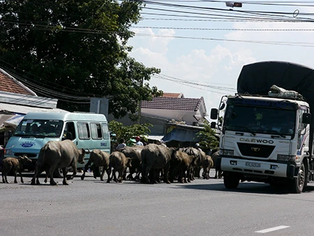 Hiểm họa khôn lường trên quốc lộ mở rộng ảnh 3