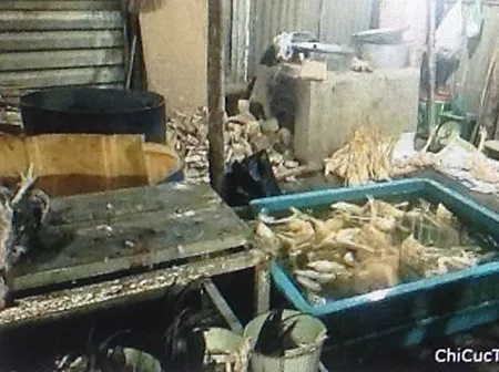 Đề nghị phạt 21 triệu đồng điểm giết mổ gà trái phép ảnh 1