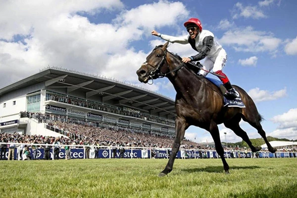 Những hình ảnh thể thao ấn tượng nhất năm 2015 (phần 1) ảnh 8