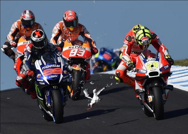 Những hình ảnh thể thao ấn tượng nhất năm 2015 (phần 2) ảnh 1