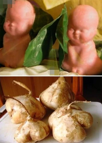 Ảnh hậu trường thời quay phim thiếu thốn của 'Tây Du Ký' ảnh 2 anh-hau-truong-thoi-quay-phim-thieu-thon-cua-tay-du-ky-1