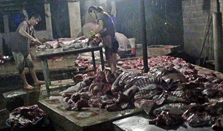 Phát hiện lò mổ heo sử dụng chất tạo nạc ảnh 2 Phát hiện lò mổ heo sử dụng chất tạo nạc ảnh 2