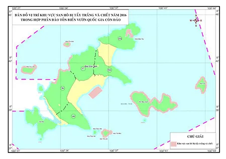 Báo động tình trạng san hô tại Côn Đảo bị tẩy trắng và chết ảnh 1 Báo động tình trạng san hô tại Côn Đảo bị tẩy trắng và chết ảnh 1