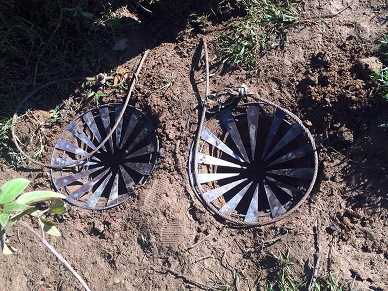 Bắt được 8 con ‘trâu điên’, dân vẫn sợ vì còn 2 con ảnh 2 Bắt được 8 con ‘trâu điên’, dân vẫn sợ vì còn 2 con ảnh 2