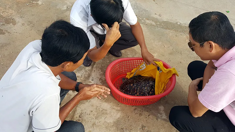 Đôi mắt ướt của con đồi mồi trong... quán nhậu ảnh 1 Đôi mắt ướt của con đồi mồi trong... quán nhậu ảnh 1