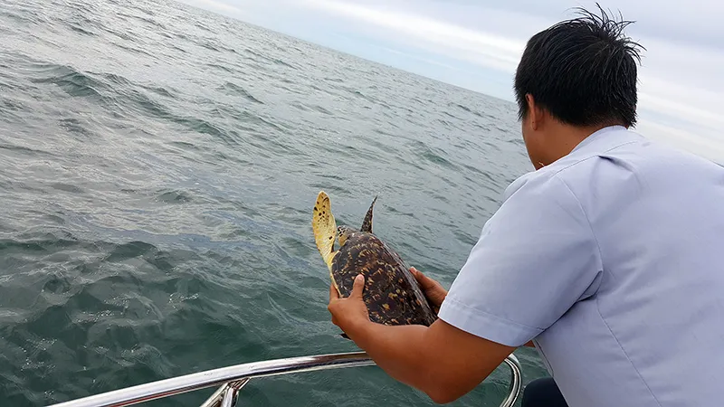 Đôi mắt ướt của con đồi mồi trong... quán nhậu ảnh 3 Đôi mắt ướt của con đồi mồi trong... quán nhậu ảnh 3