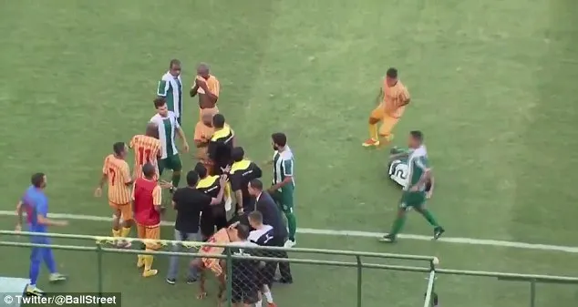 Cầu thủ và CĐV lao vào đánh nhau kinh hoàng trên sân ảnh 5