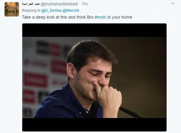 De Gea nói lời cảm ơn, CĐV MU than khóc ảnh 4