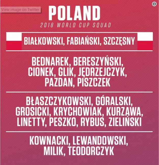 Danh sách chính thức 32 đội tuyển dự World Cup 2018 ảnh 14