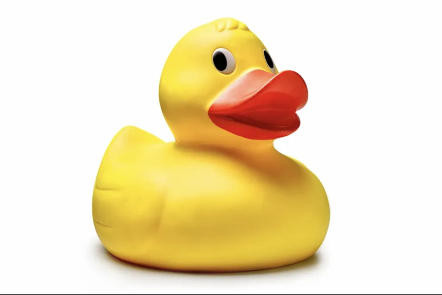 Khay nước và con vịt trị giá chỉ 5 bảng Anh nhưng đóng vai trò cực kỳ quan trọng trong việc dự đoán mưa ở Wimbledon. ẢNH: AELTC, GETTY