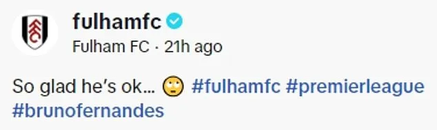 Fulham đăng trên TikTok cáo buộc Fernandes giả vờ chấn thương trong trận thua 1-2 của Man United. ẢNH: DAILY MAIL fulham-premier-league.jpg