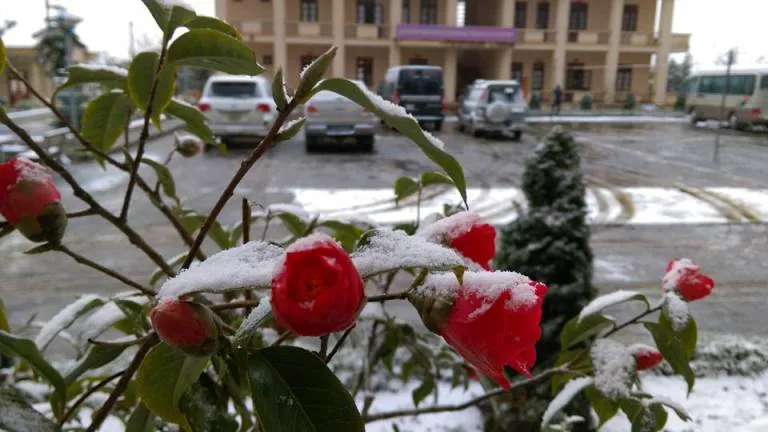 Mưa tuyết, băng giá còn tiếp diễn tại nhiều tỉnh miền Bắc ảnh 1 Mưa tuyết, băng giá còn tiếp diễn tại nhiều tỉnh miền Bắc ảnh 1