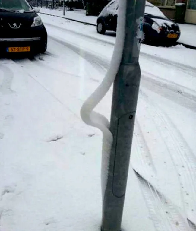 Những bức ảnh phá vỡ nguyên tắc vật lý thú vị ảnh 17