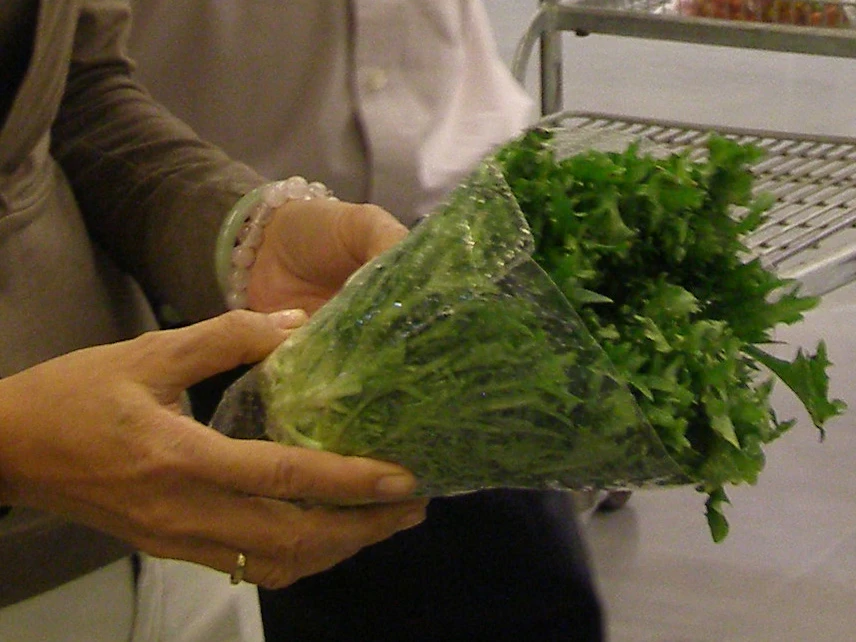 Chuyên gia hướng dẫn chọn rau, củ, quả an toàn ảnh 1