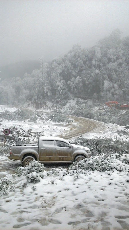 Tuyết phủ trắng ở Nghệ An như... châu Âu ảnh 3